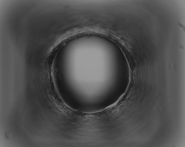 X0000093161496200709261459