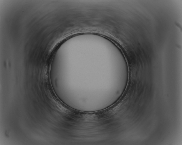X0000093161498200709261459