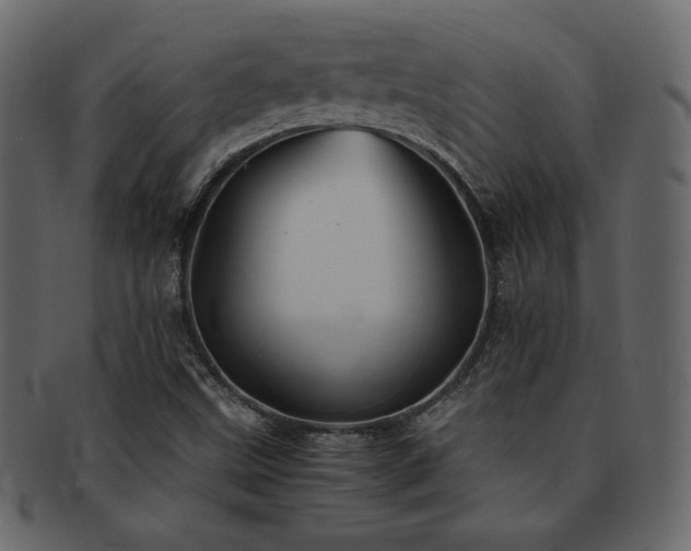 X0000093161499200709261459
