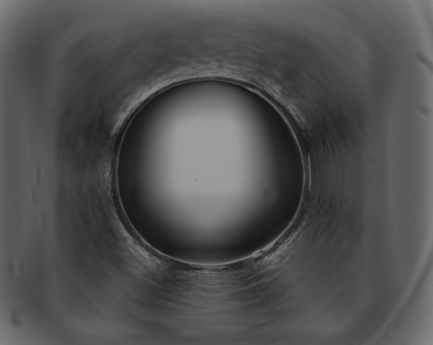 X0000093161500200709261459