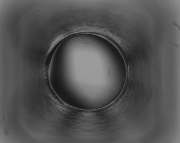 X0000093161501200709261459