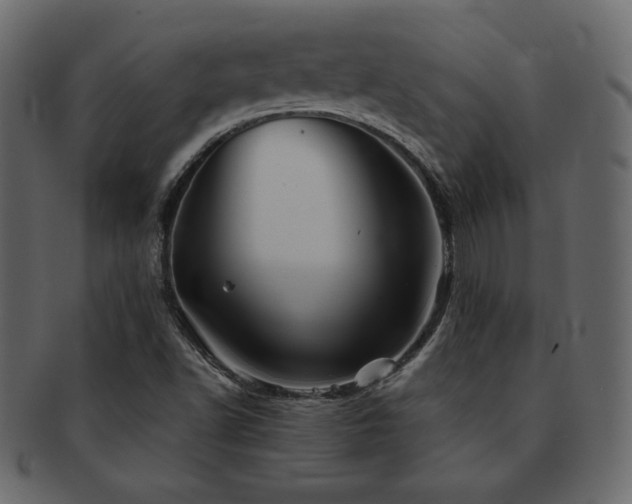 X0000093161502200709261459