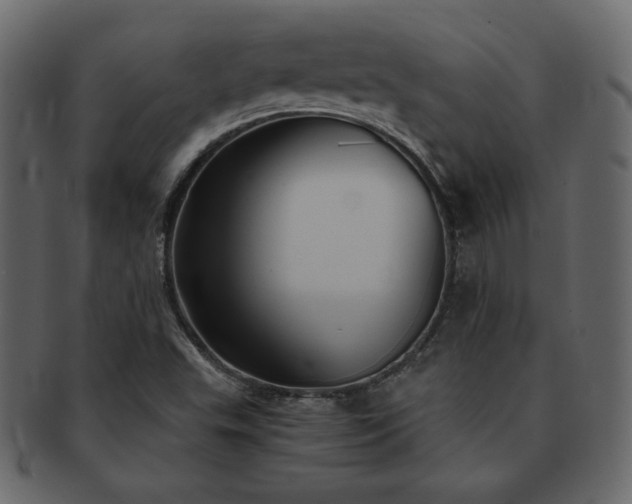 X0000093161503200709261459