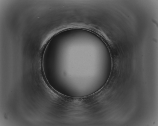 X0000093161504200709261459