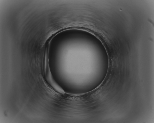 X0000093161505200709261459