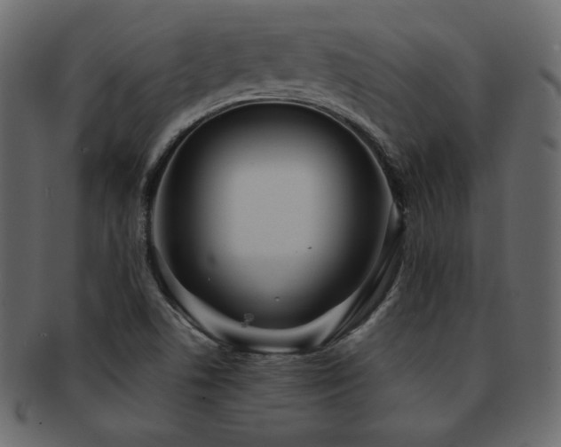 X0000093161506200709261459