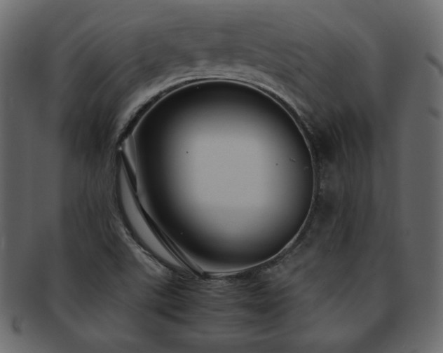 X0000093161507200709261459