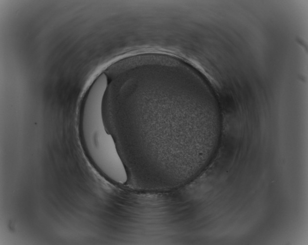 X0000093161508200709261459