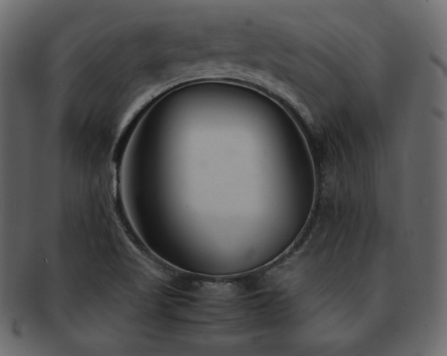 X0000093161509200709261459
