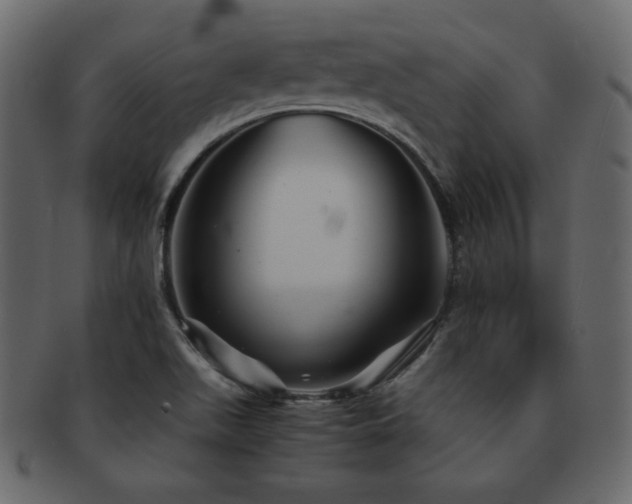 X0000093161511200709261459