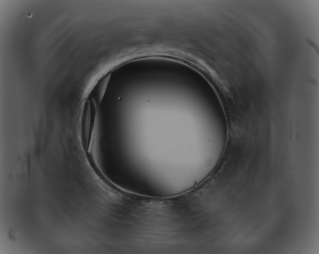 X0000093161512200709261459