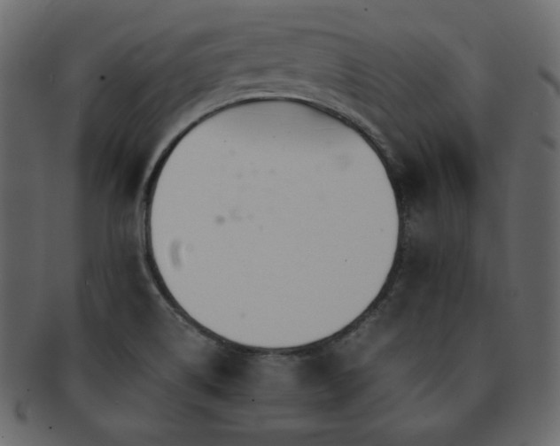 X0000093161514200709261459