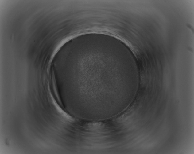 X0000093161515200709261459