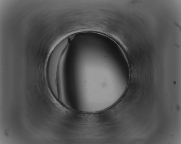X0000093161516200709261459