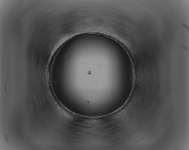 X0000093161517200709261459