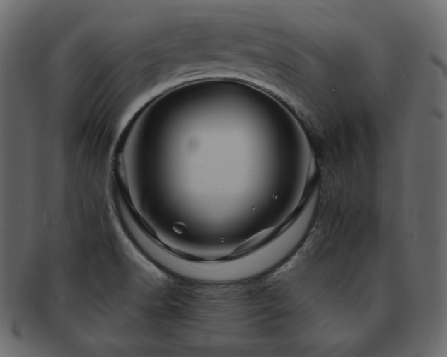 X0000093161518200709261459