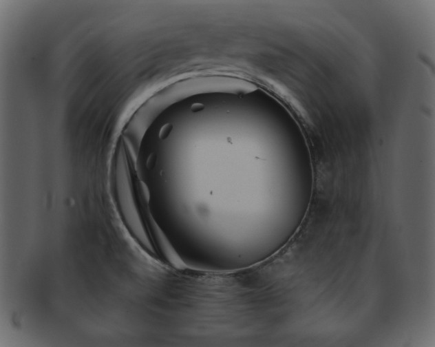 X0000093161520200709261459