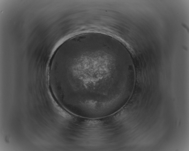 X0000093161522200709261459