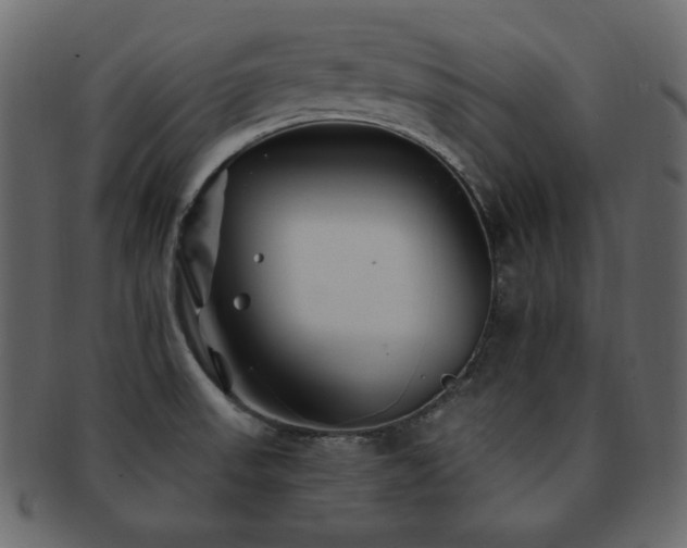 X0000093161523200709261459