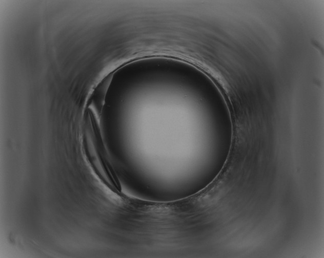 X0000093161525200709261459