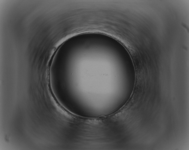 X0000093161526200709261459