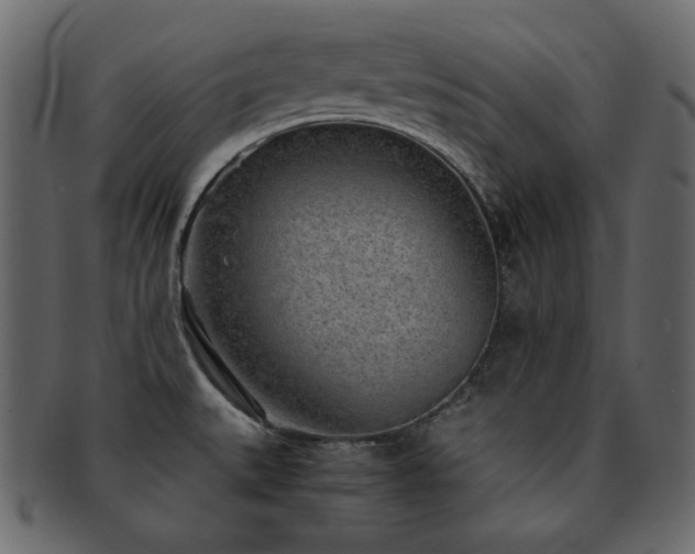 X0000093161527200709261459