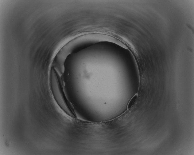 X0000093161528200709261459