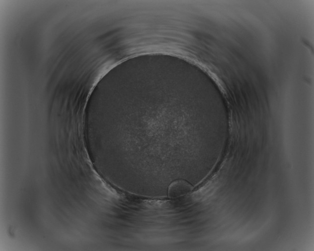 X0000093161529200709261459