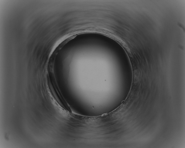 X0000093161530200709261459