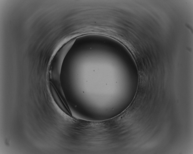 X0000093161531200709261459