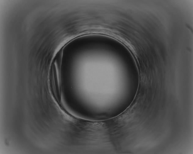 X0000093161533200709261459