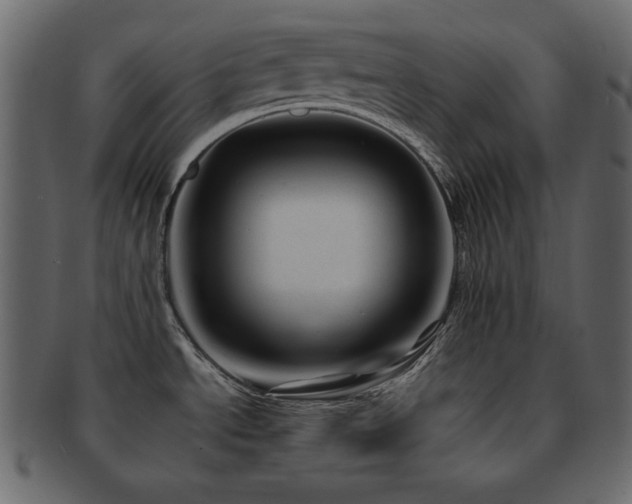 X0000093161534200709261459