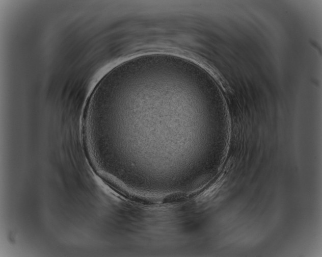 X0000093161535200709261459