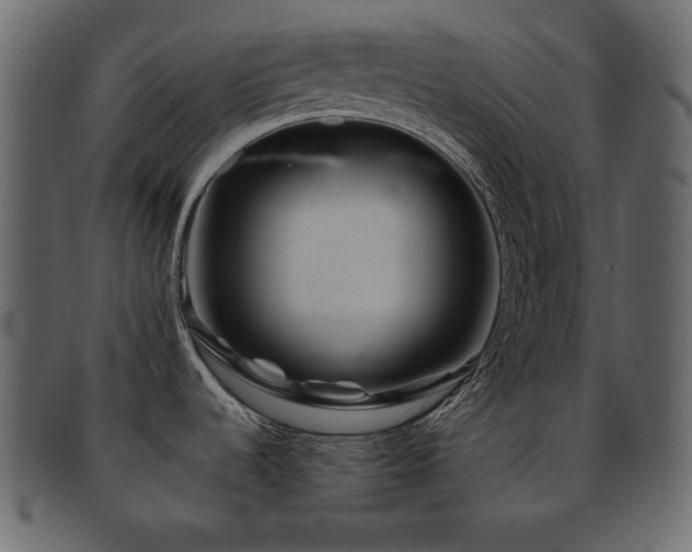 X0000093161536200709261459