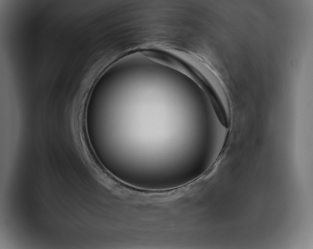 X0000093160001200710031454