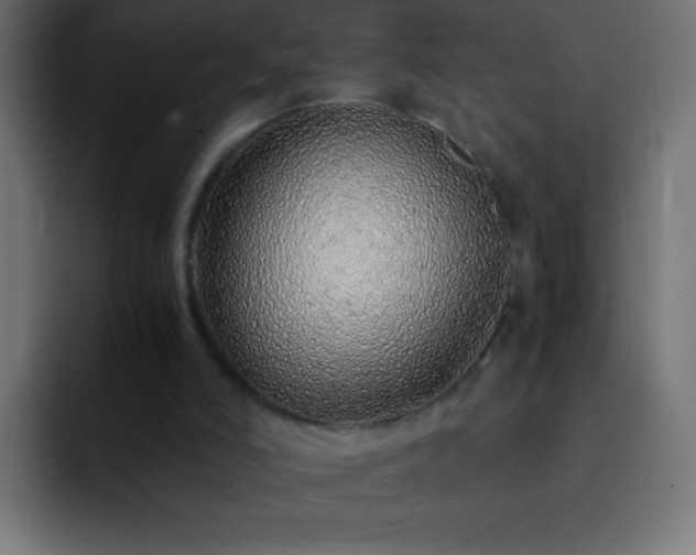 X0000093160006200710031454