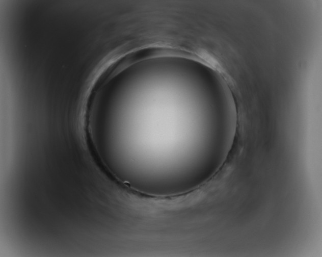 X0000093160007200710031454