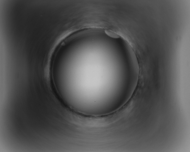 X0000093160008200710031454