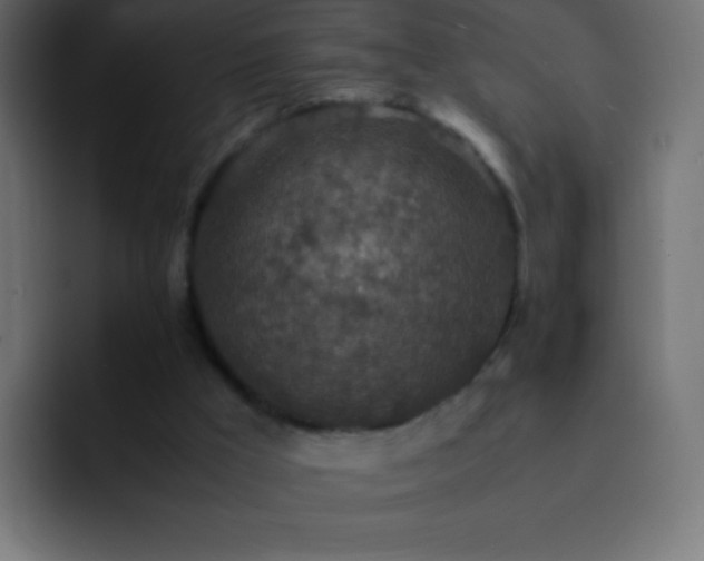 X0000093160009200710031454