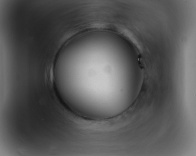 X0000093160011200710031454