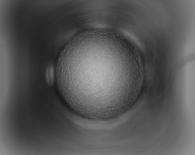 X0000093160014200710031454