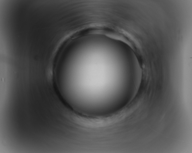 X0000093160015200710031454