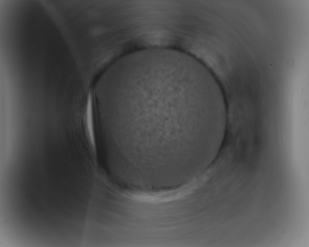 X0000093160017200710031454