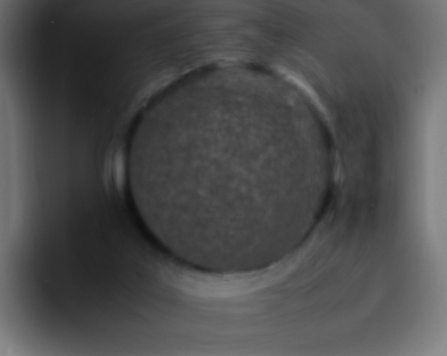 X0000093160019200710031454