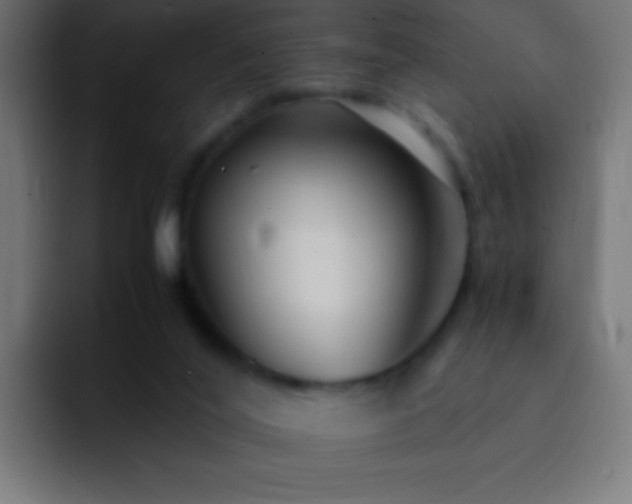 X0000093160020200710031454
