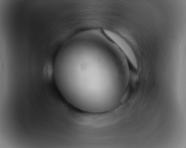 X0000093160021200710031454