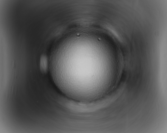 X0000093160022200710031454