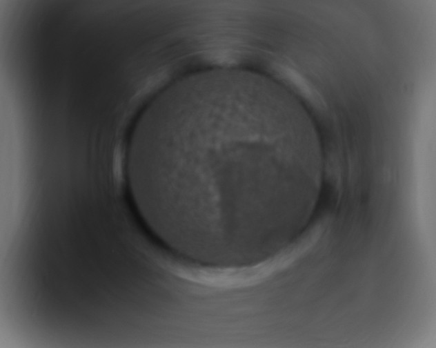 X0000093160023200710031454
