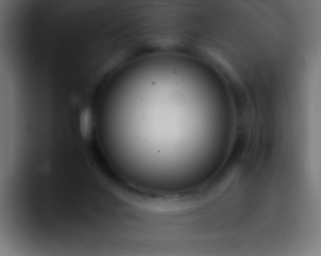 X0000093160024200710031454