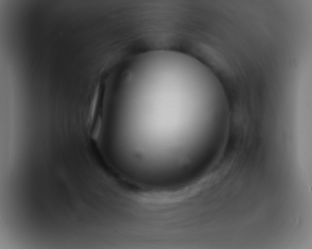 X0000093160025200710031454